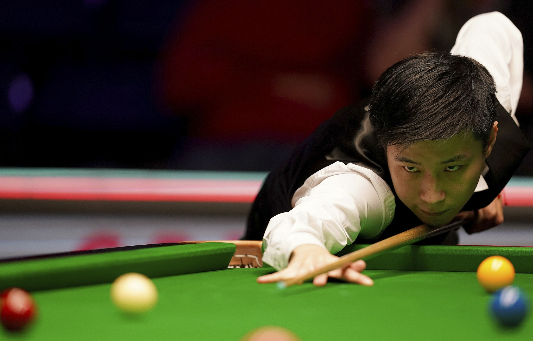 如果你需要 如果你需要