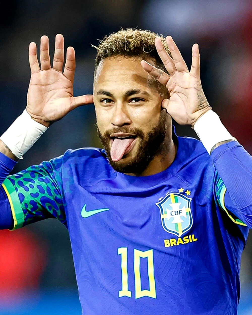 能力有目共 能力有目共